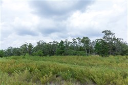 property photo for Stone Bridge Phase V Tract 340, 33.86 acres for sale in LatimerHaskell County, Oklahoma