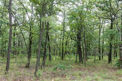property photo for Stone Bridge Phase V Tract 341, 33.38 acres for sale in LatimerHaskell County, Oklahoma