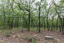 property photo for Stone Bridge Phase V Tract 341, 33.38 acres for sale in LatimerHaskell County, Oklahoma