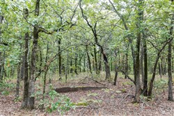 property photo for Stone Bridge Phase V Tract 341, 33.38 acres for sale in LatimerHaskell County, Oklahoma