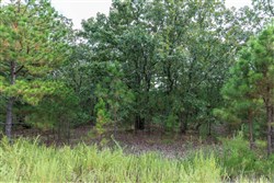 property photo for Stone Bridge Phase V Tract 342, 6.95 acres for sale in LatimerHaskell County, Oklahoma