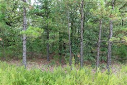property photo for Stone Bridge Phase V Tract 342, 6.95 acres for sale in LatimerHaskell County, Oklahoma
