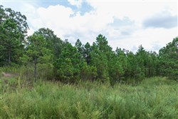 property photo for Stone Bridge Phase V Tract 342, 6.95 acres for sale in LatimerHaskell County, Oklahoma