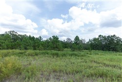 property photo for Stone Bridge Phase V Tract 342, 6.95 acres for sale in LatimerHaskell County, Oklahoma