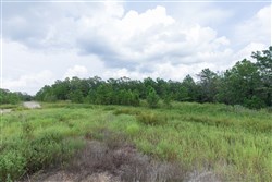 property photo for Stone Bridge Phase V Tract 342, 6.95 acres for sale in LatimerHaskell County, Oklahoma