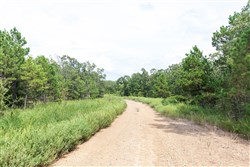 Stone Bridge Phase V Tract 343