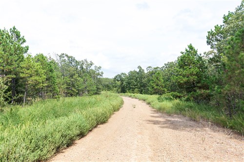 Stone Bridge Phase V Tract 343