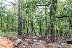 Stone Bridge Phase V Tract 343