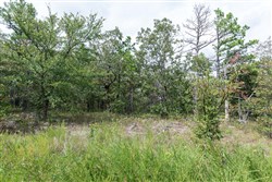 Stone Bridge Phase V Tract 343