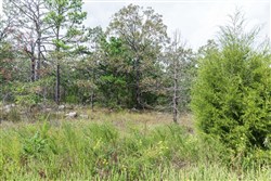 Stone Bridge Phase V Tract 343
