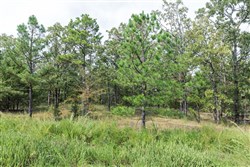 Stone Bridge Phase V Tract 343