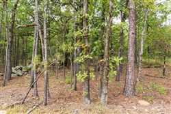 property photo for Stone Bridge Phase V Tract 344, 6.85 acres for sale in LatimerHaskell County, Oklahoma