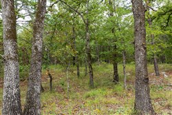 property photo for Stone Bridge Phase V Tract 344, 6.85 acres for sale in LatimerHaskell County, Oklahoma