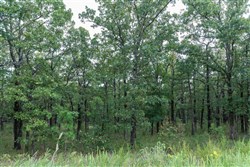 property photo for Stone Bridge Phase V Tract 344, 6.85 acres for sale in LatimerHaskell County, Oklahoma