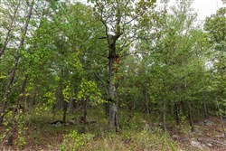 property photo for Stone Bridge Phase V Tract 344, 6.85 acres for sale in LatimerHaskell County, Oklahoma