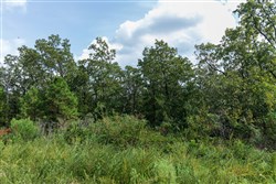 property photo for Stone Bridge Phase V Tract 344, 6.85 acres for sale in LatimerHaskell County, Oklahoma