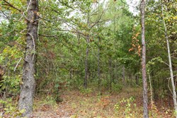property photo for Stone Bridge Phase V Tract 345, 6.51 acres for sale in LatimerHaskell County, Oklahoma