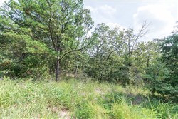 property photo for Stone Bridge Phase V Tract 345, 6.51 acres for sale in LatimerHaskell County, Oklahoma