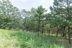 property photo for Stone Bridge Phase V Tract 345, 6.51 acres for sale in LatimerHaskell County, Oklahoma