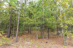 property photo for Stone Bridge Phase V Tract 345, 6.51 acres for sale in LatimerHaskell County, Oklahoma
