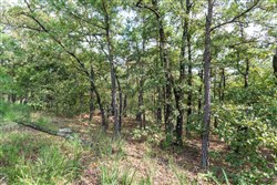 property photo for Stone Bridge Phase V Tract 345, 6.51 acres for sale in LatimerHaskell County, Oklahoma