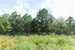 property photo for Stone Bridge Phase V Tract 345, 6.51 acres for sale in LatimerHaskell County, Oklahoma