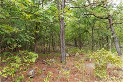 Stone Bridge Phase V Tract 346