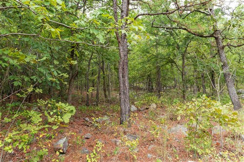 Stone Bridge Phase V Tract 346