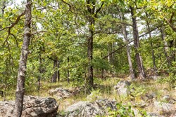 Stone Bridge Phase V Tract 346