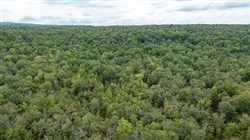 Stone Bridge Phase V Tract 346