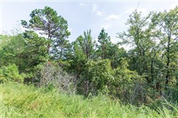 Stone Bridge Phase V Tract 346