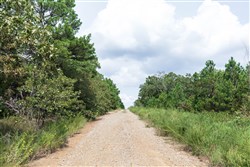 Stone Bridge Phase V Tract 347