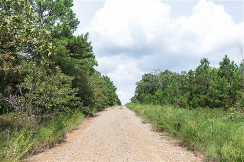 Stone Bridge Phase V Tract 347