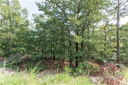 Stone Bridge Phase V Tract 347