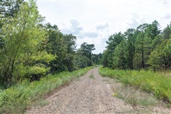 Stone Bridge Phase V Tract 347