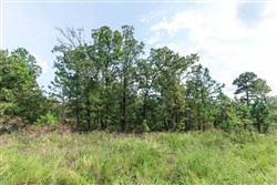 Stone Bridge Phase V Tract 347