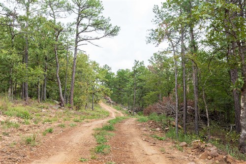 Stone Bridge Phase V Tract 348