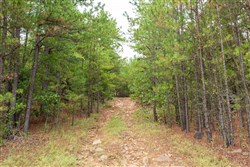 Stone Bridge Phase V Tract 348