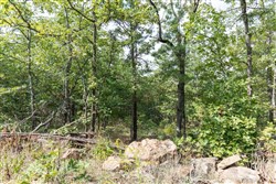 Stone Bridge Phase V Tract 348