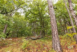 property photo for Stone Bridge Phase V Tract 349, 6.99 acres for sale in LatimerHaskell County, Oklahoma