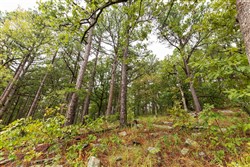 property photo for Stone Bridge Phase V Tract 349, 6.99 acres for sale in LatimerHaskell County, Oklahoma