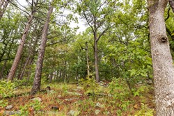 property photo for Stone Bridge Phase V Tract 349, 6.99 acres for sale in LatimerHaskell County, Oklahoma
