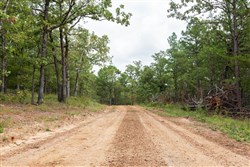 Stone Bridge Phase V Tract 350