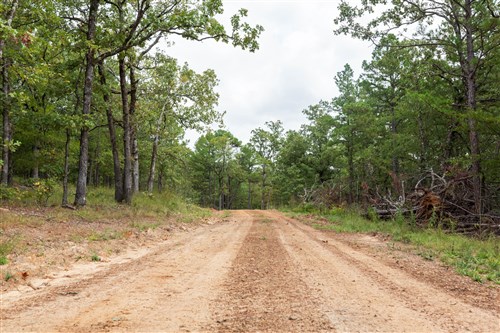 Stone Bridge Phase V Tract 350