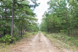 Stone Bridge Phase V Tract 350