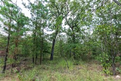 Stone Bridge Phase V Tract 350