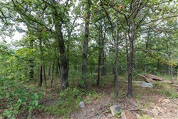 Stone Bridge Phase V Tract 350