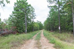 property photo for Stone Bridge Phase V Tract 351, 5.57 acres for sale in LatimerHaskell County, Oklahoma