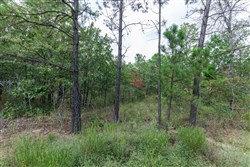 property photo for Stone Bridge Phase V Tract 351, 5.57 acres for sale in LatimerHaskell County, Oklahoma