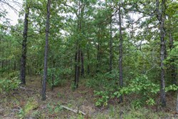 property photo for Stone Bridge Phase V Tract 351, 5.57 acres for sale in LatimerHaskell County, Oklahoma